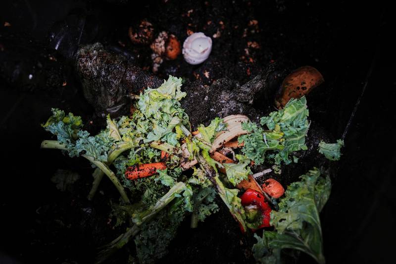 Food scraps sit inside a residential compost bin.