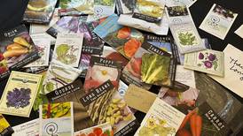 It’s already time to start preparing for spring gardening