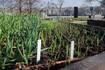 April gardening checklist