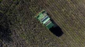 Farmers are still reeling months after Hurricane Helene ravaged crops