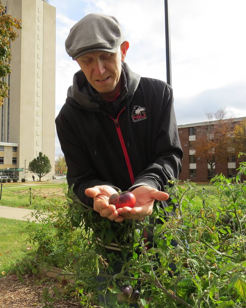 Bryan Flower’s career in foodservice has taken him around the globe. Born in England and raised in South Africa, his career brought him to the United States, where he is now the assistant director for food systems innovation at Northern Illinois University and he leads the Edible Campus project. Flower and his wife also own and operate Red Home Farm, where they raise grass-fed livestock and poultry.