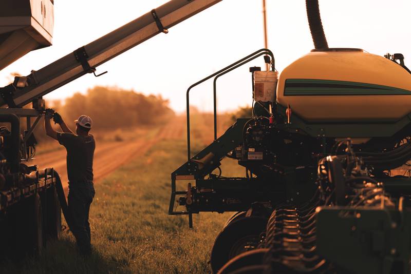 Even and timely emergence results from planting seeds in warm, dry soil with good seed-to-soil contact.