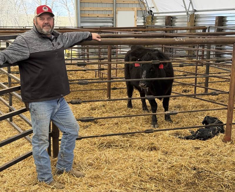 Brett Kenzy stands next to the calf he helped deliver and its mom not long after the birth on his ranch near Gregory, South Dakota.