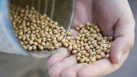 Researchers aim for SCN resistance, improved oil