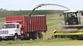 A Year in the Life of a Farmer: Dairymen focus on harvesting high-quality haylage