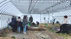 Schools connect farming, students with unique garden programs
