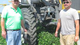 ‘The best wheat I’ve ever harvested’