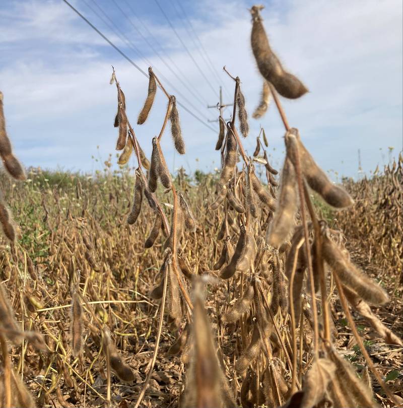 Indiana crop progress.