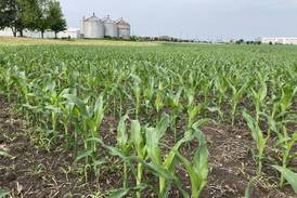 Illinois crop progress for week ending June 15