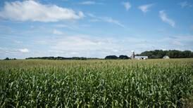 Indiana sees reduction in farmland acres