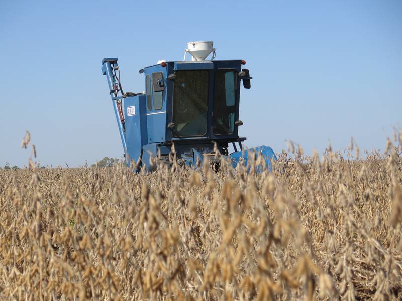 Clay Harper, University of Illinois senior research specialist, harvests soybeans in a field near Goodfield for the U of I Variety Testing program. The later maturity soybeans at the location averaged 82.7 per acre across all plots.