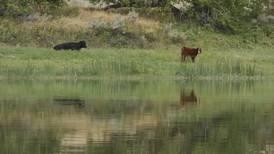 Biden plan to sell land leases for conservation gets pushback