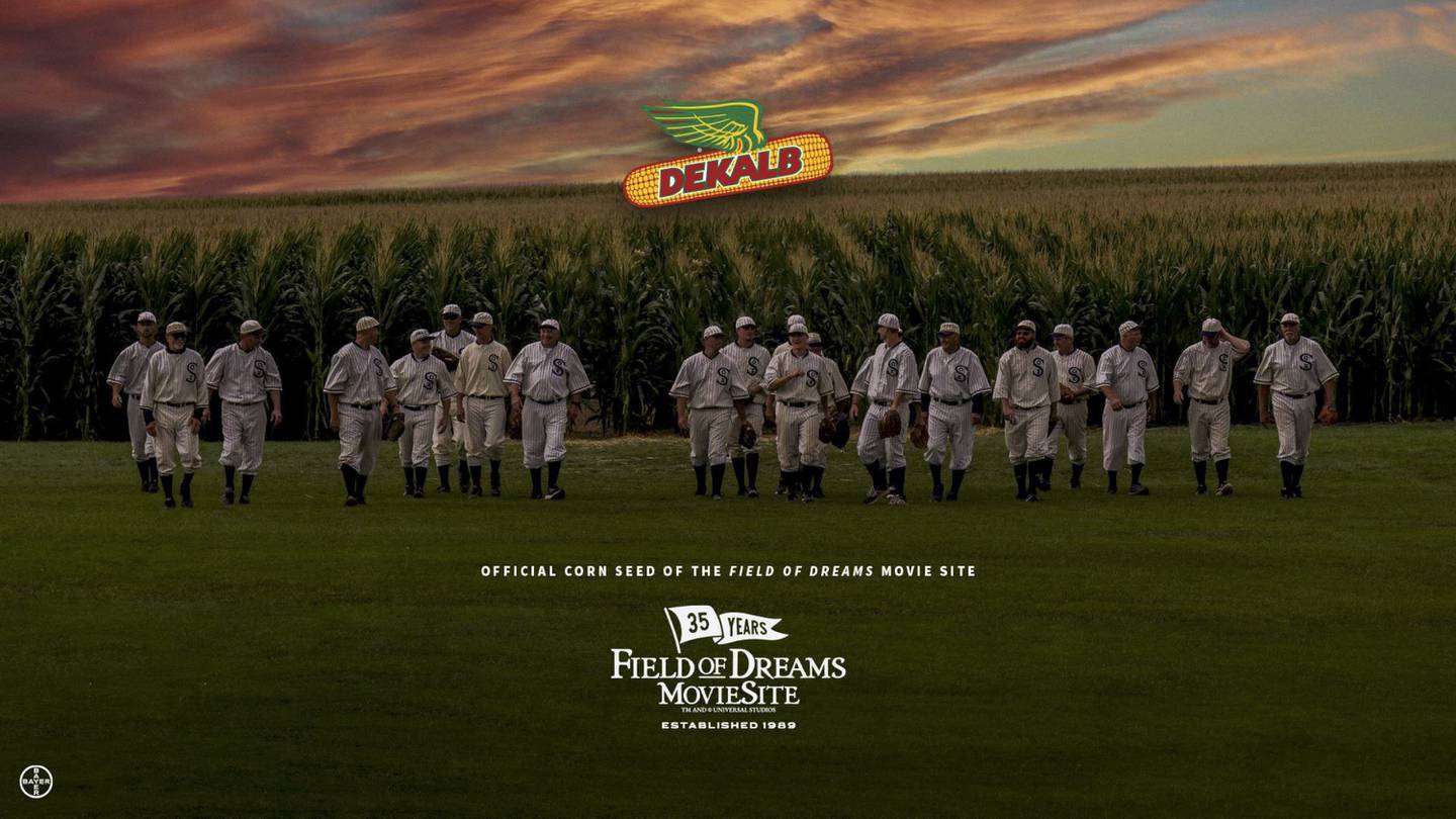DEKALB DKC64-64RIB brand blend surrounds the filming site of the iconic 1989 “Field of Dreams” baseball movie while it continues to make dreams come true for countless baseball fans around the world.