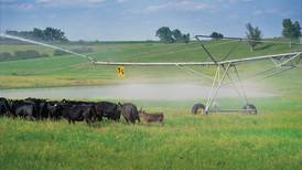 Strong beef prices make now a good time for ranchers to consider irrigation investment