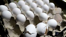 U.S. egg prices increase to record high