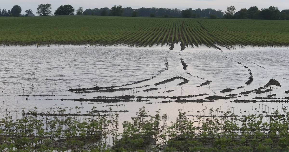 New Ag Climate Dashboard makes climate resources more accessible for Midwest farmers