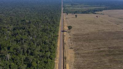 What Brazil’s soy moratorium fight means — and what happens next