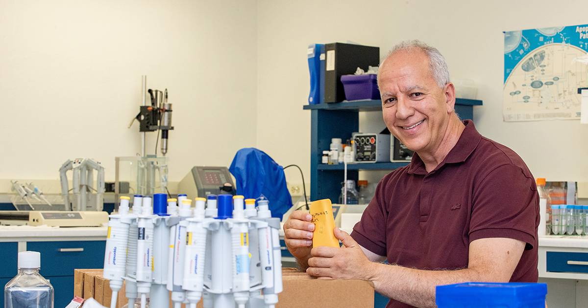 Top Researchers Innovate in Heat-Resistant Crop Development