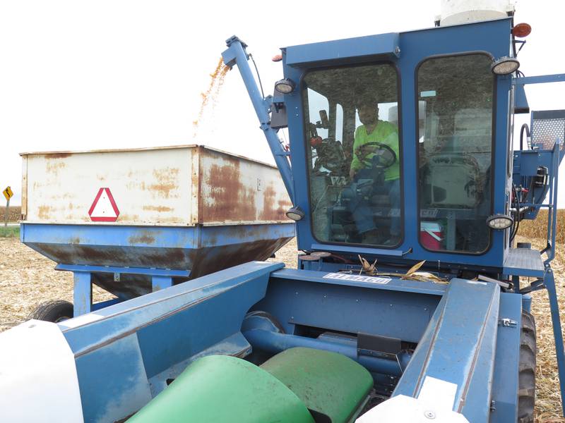 Clay Harper, University of Illinois senior research specialist, unloads his combine at Variety Testing site near Goodfield. Using this specially-designed harvester, Harper meticulously collects the data from plots to document corn and soybean performance.