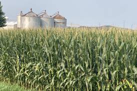 Illinois crop progress for week ending Aug. 3