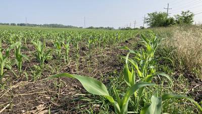Indiana crop progress for week ending June 8