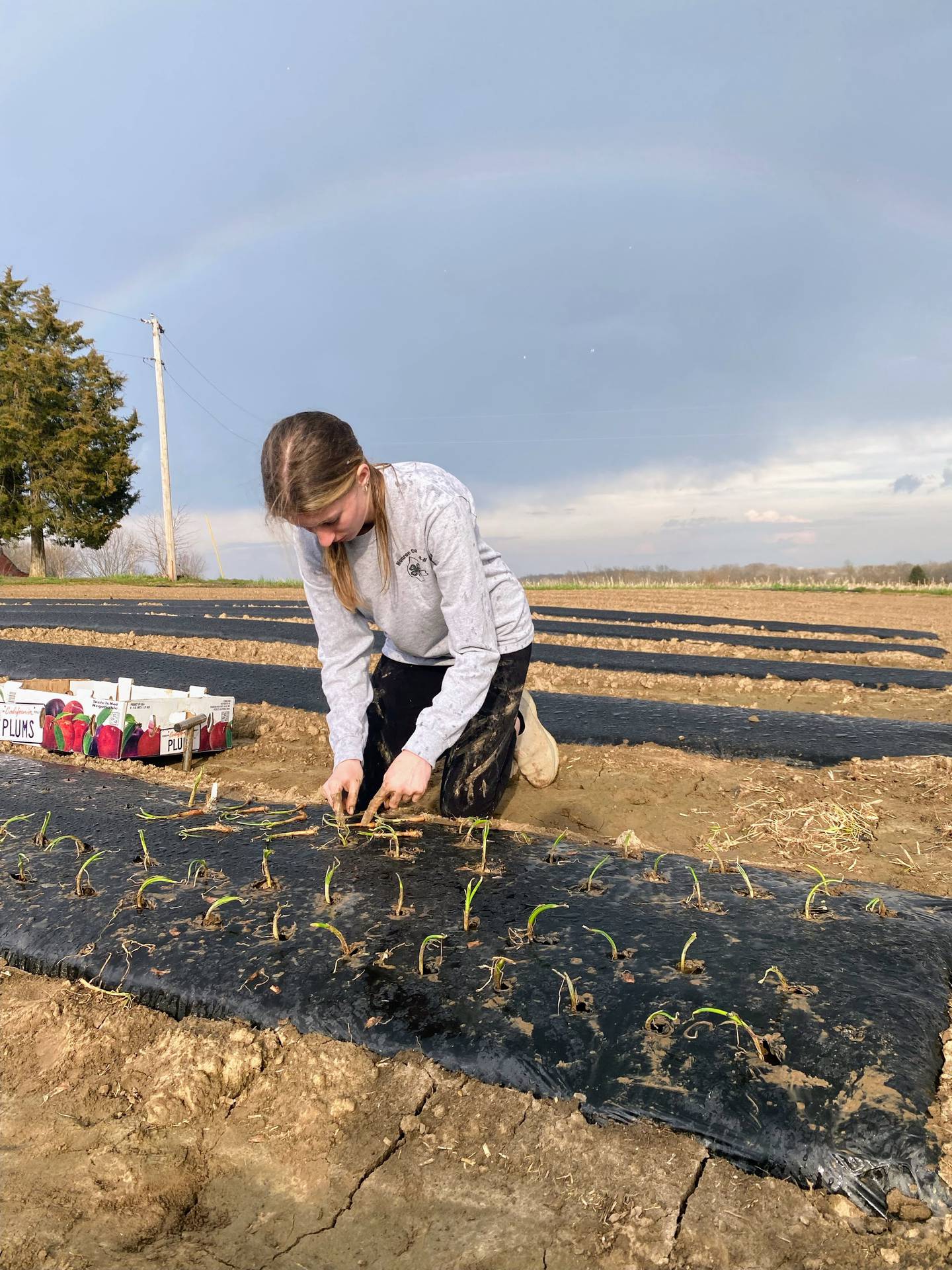 Riley McDermott grows about 13 different types of vegetables in her 4,300-square-foot garden. In addition to selling her produce at a farmers market she also sells canned goods that she makes from vegetables grown in her garden.