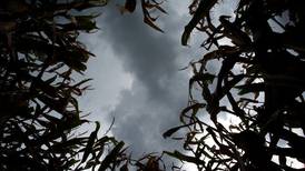 Mild air, drought relief in forecast