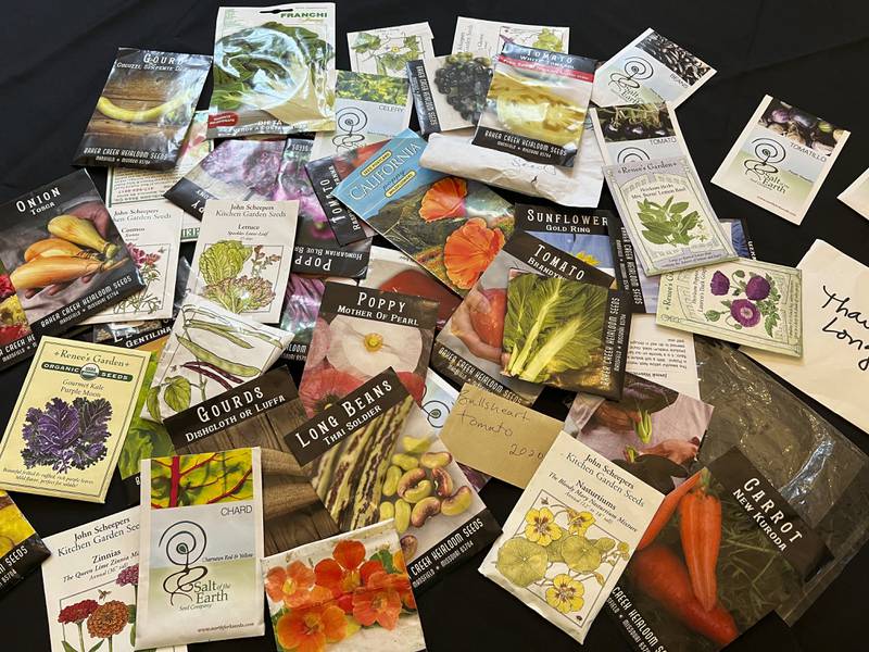 Seeds may sprout past their expiration dates, so it’s a good idea to test them for viability before disposing of or planting them.