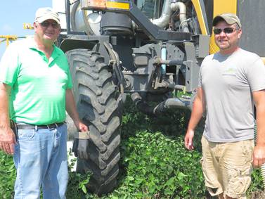 ‘The best wheat I’ve ever harvested’
