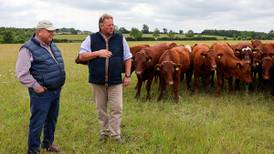 Farm Bureau begins on the farm