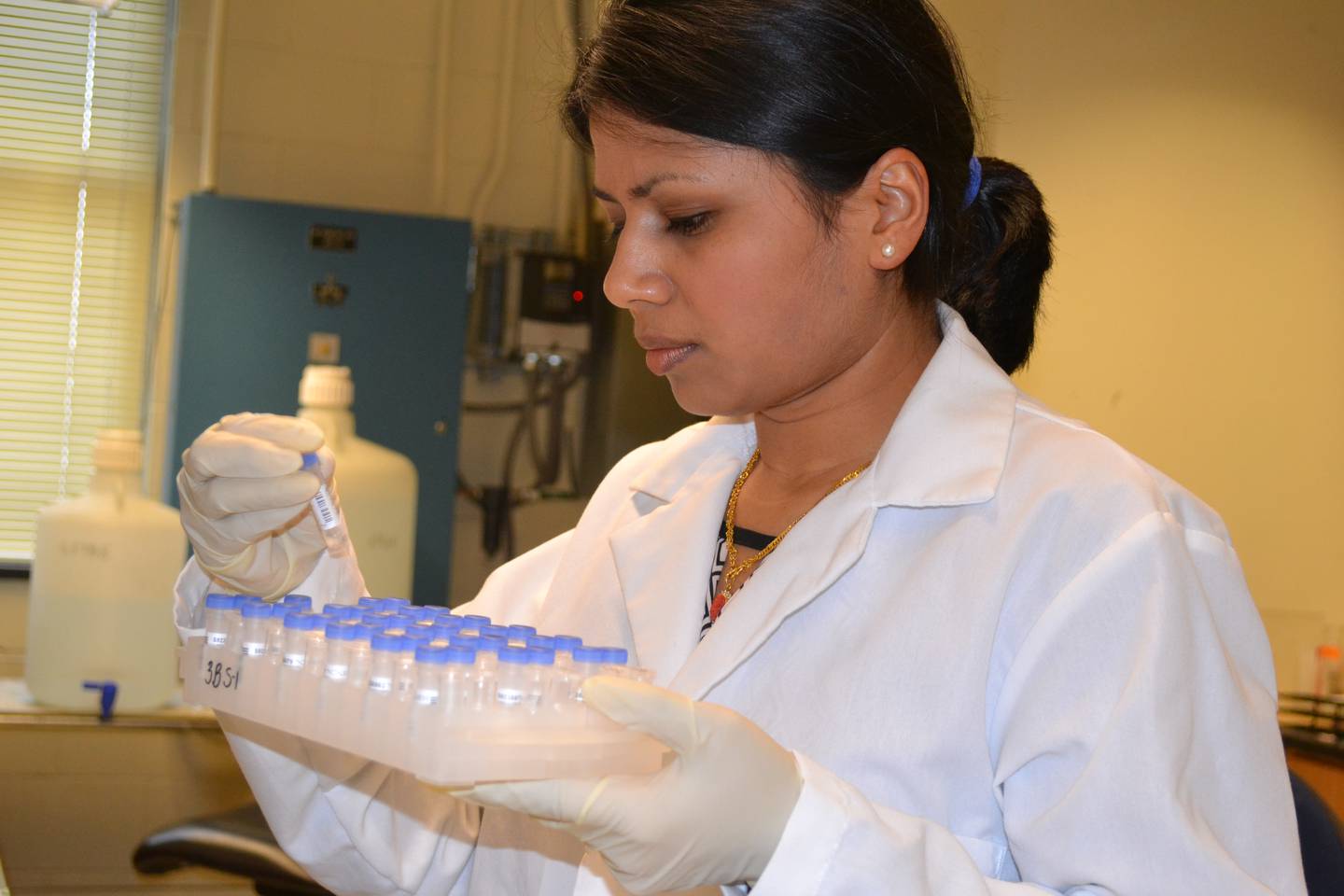 Rima Thapa, a Ph.D. candidate at Purdue University, holds molecular markers used to track genes in plants. As part of her research, Thapa determined the gene order for three disease-resistance genes on chromosome 3BS of wheat. Thapa’s research was funded by a grant from the Agriculture and Food Research Initiative. Job opportunities for research and development in agriculture can be found at Purdue University, companies like Beck’s Hybrids and many other facilities.