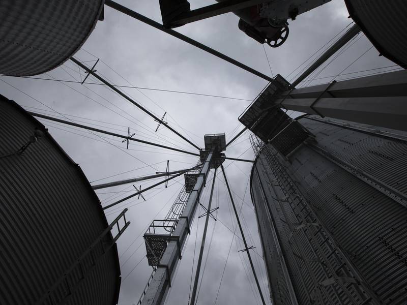 Halftime quarterly grain stocks rise