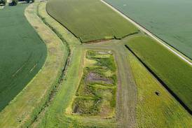 Smart wetland featured at field day