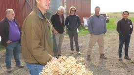 Pennycress research showcased at WIU field day