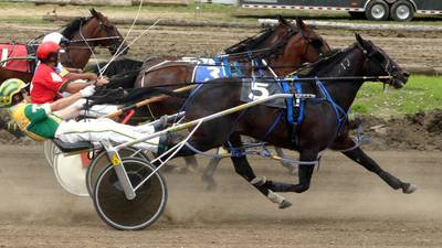 Fair features trotters, chart-topping artists