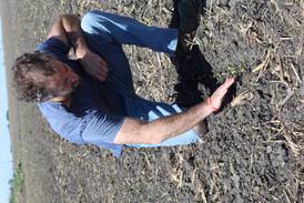 From the Fields: Crops need rain after planting