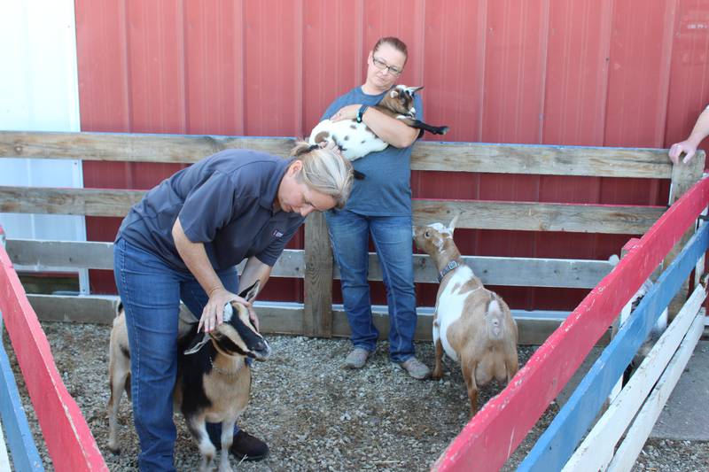 Teresa Steckler demonstrates how to determine a FAMACHA score on a goat during a workshop. This score provides an indication of the parasite status of the animal and helps owners decide if treatment is required.