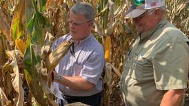 High costs spotlight nitrogen quandary