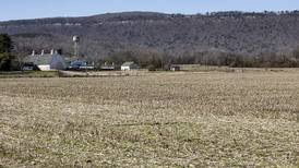 ‘I’ state farmland values down from a year ago