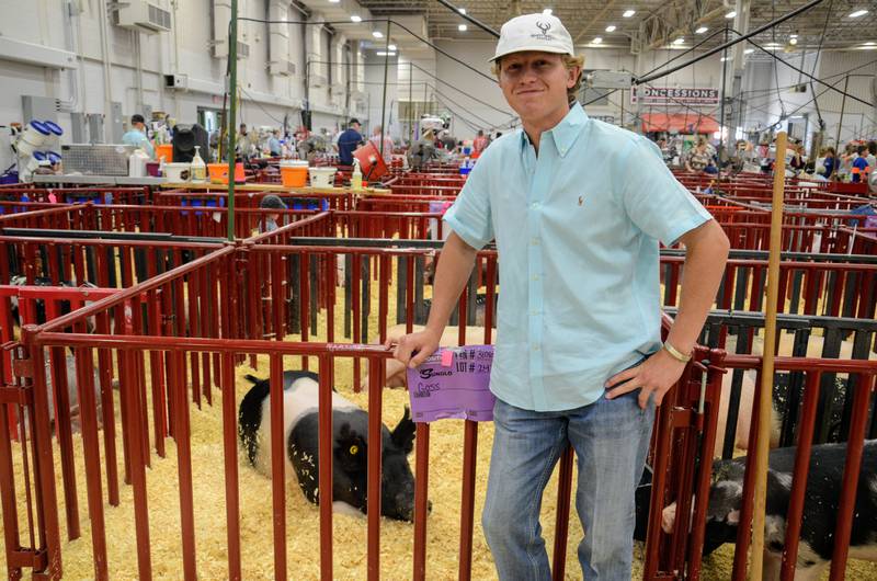 National swine show takes over the Indiana State Fairgrounds AgriNews