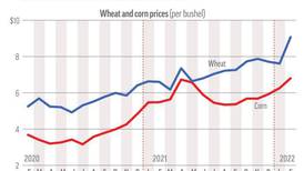 Wheat, corn prices surge amid Russia’s invasion of Ukraine