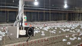 Cumberland introduces Scout robot to promote poultry health and performance