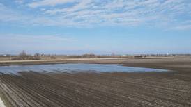 Why are there so many ponded farm fields?