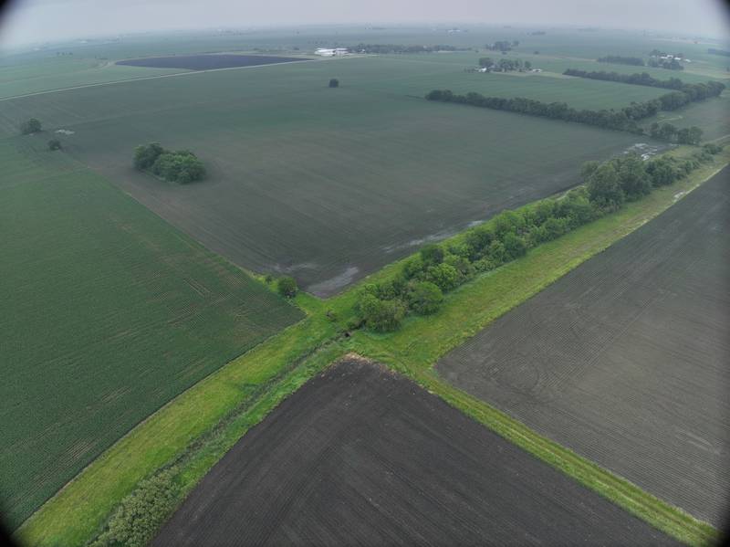 Unpredictable patterns continue to define Illinois farmland sales.
