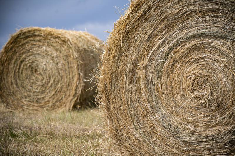 Keith Johnson, Purdue Extension forage specialist, discussed forage quality during the virtual Hay Quality Seminar.