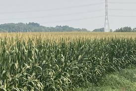 Indiana crop progress for week ending July 27