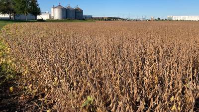 Illinois crop progress
