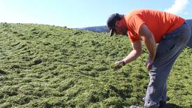 A Year in the Life of a Farmer: Significant rain event adds challenges to dairy