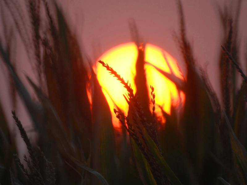 Why farmers are feeling squeezed