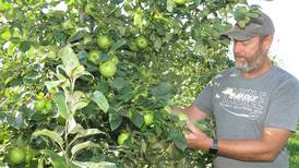 Generations of Tanners host agritainment